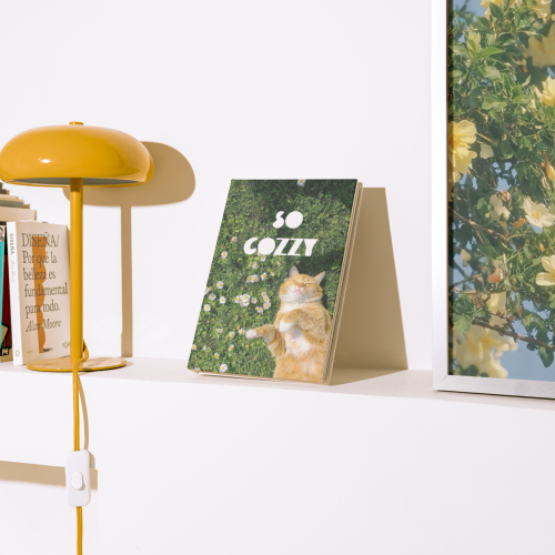 Bendito_Mockup-MT-Free-Book-02 copie