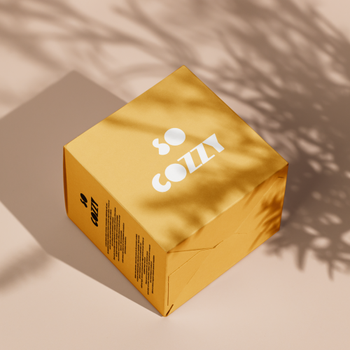 Lying_Box_Mockup copie