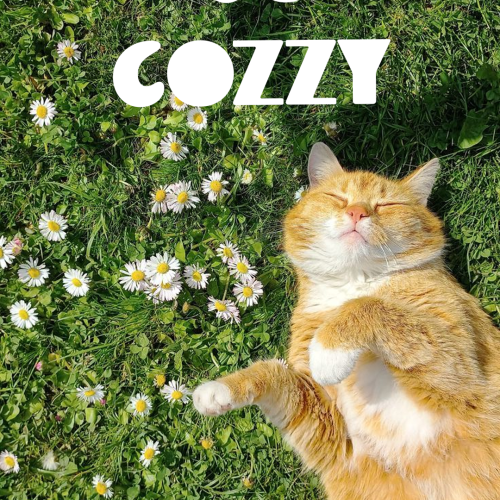 So cozzy